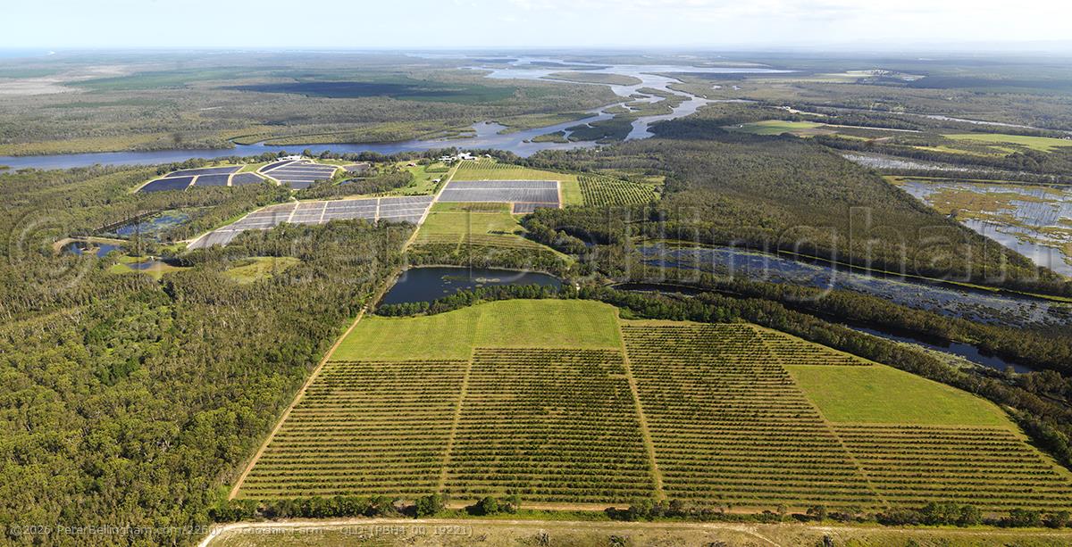 Peter Bellingham Photography Coochin Farm - QLD (PBH4 00 19221)